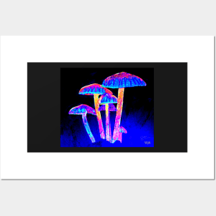 Mushroom Glow Posters and Art